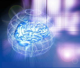 網(wǎng)上數(shù)據(jù)成 法寶 助東南亞企業(yè)發(fā)掘電商商機